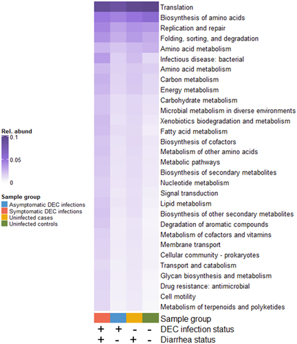 Figure 7. Mean relative abundances of genes with secondary KEGG annotations that were significantly differentially abundant by DEC infection and diarrhea status (4-way Kruskal-Wallis adjusted p-values < 0.05).