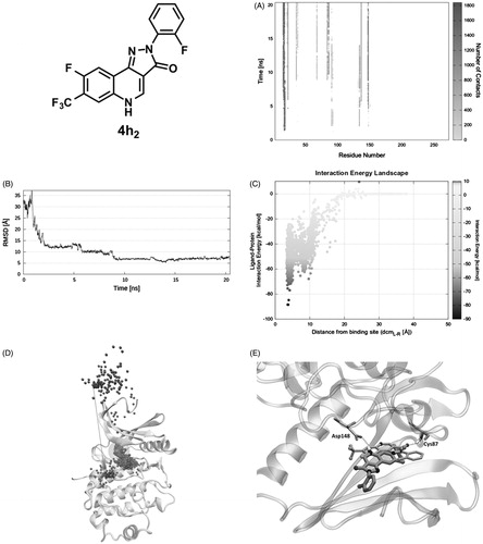 Figure 4. PQ 4h2 recognition pathway: (A) ligand − protein recognition map, (B) ligand − RMSD, (C) IE landscape, (D) Pollicino analysis (M1, M2, M3, and M4, indicate clusters) and (E) hydrogen bond interactions (dashed lines) of final SuMD pose in comparison with the pose suggested by docking simulation.