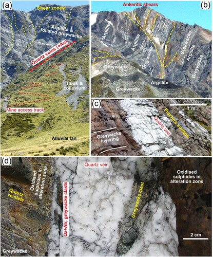 Figure 4. Settings for hydrothermal zones in Wilberforce catchment. A, Historic site in North Stream where a gold-bearing quartz vein system was mined. B, Distant view of Main Divide above the head of Unknown Stream, showing fault-controlled orange ankeritic alteration zones. C, Sulphidic quartz vein (∼10 cm thick) coating a fracture that cuts across unfoliated greywacke bedding in Unknown Stream. D, Close view of a quartz vein in Unknown Stream, with brecciated margins and sulphidic wall rock alteration zone.