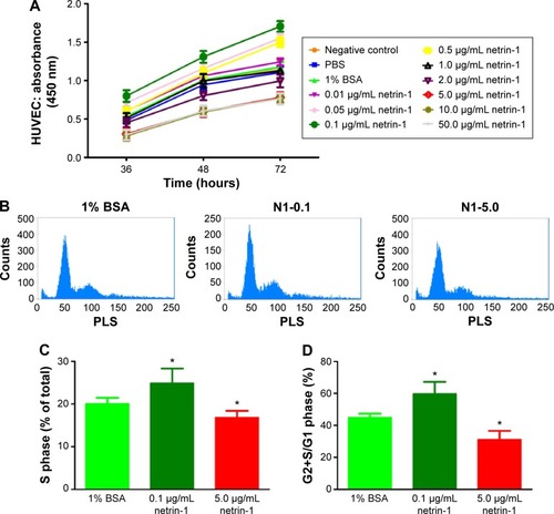 Figure 1 Exposure to the different concentrations of netrin-1 led to changes in HUVEC viability and proliferation.