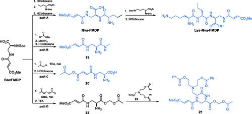 Scheme 6. Synthesis of antimicrobials incorporating FMDP.