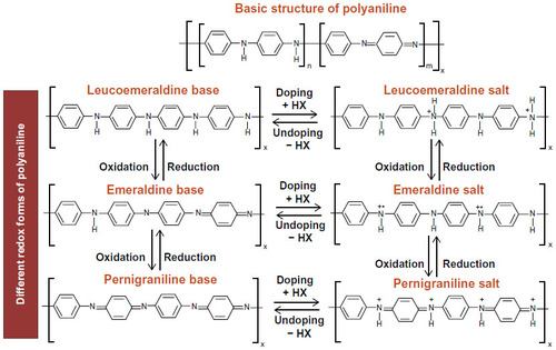 Figure 2 Basic structure of PANI and different redox forms of PANI with its doped states.