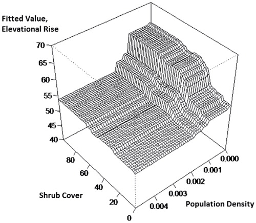 FIGURE 4. Perspective plot showing the fitted interaction effects of shrub cover and population density on the elevational rise of timberline from 1930 to 2000.