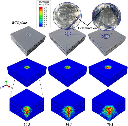 Figure 14. Demonstrating pictures of the BCC plate sandwich structures impacted at different energies, along with the FEA predictions showing the damage initiation criterion contours (DUCTCRT).