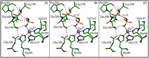 Figure 4. Detail of the active site in the model systems Complex_N (A), Complex_O (B) and Complex_NO (C). In all three cases the ligand, the zinc ion, the three coordinating histidines, Glu106, and enzyme residues giving a major contribution to ligand binding are shown. Only polar hydrogens are shown. Hydrogen bonds are highlighted with red dotted lines, while the distances between O3 and Thr200OG1 are indicated with black arrows.