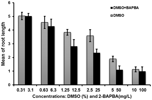 Figure 4. Effect of different 2-BAPBA concentrations on A. cepa root length compared with concurrent DMSO concentrations.