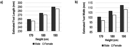 Figure 3. The estimated foot length (a) and foot width (b) normalised by stature for common participant heights −170 cm, 180 cm and 190 cm.