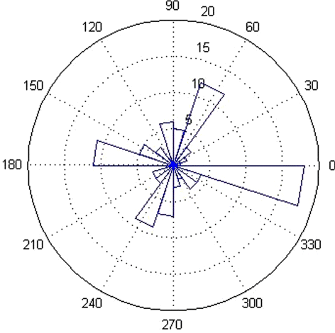 Figure 4. The rose map of azimuth between patches with minimum distance.