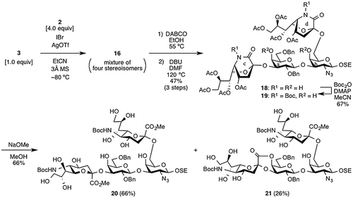 Scheme 3. Synthesis of tetrasaccharide derivative 20.