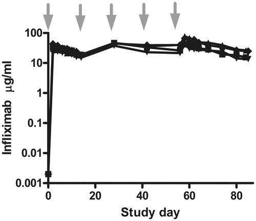 Figure 3. Infliximab levels in individual minipigs. Minipigs were treated SC every other week for 8 weeks with 5.0 mg infliximab/kg. Infliximab and anti-infliximab levels were followed over time. Arrows indicate treatment days. No anti-infliximab antibodies were observed during the study.