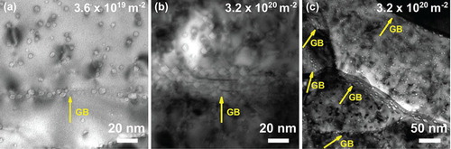 Figure 3. Bright-field underfocus TEM micrographs showing (a) and (b) samples irradiated to 3.6 × 1019 and 3.2 × 1020 ions m−2, respectively, demonstrating the difference in bubble density and size at the grain boundaries (GB); and (c) a sample irradiated to 3.2 × 1020 ions m−2 showing several grain boundaries decorated with different densities, shapes and sizes of bubbles. Please note the different scale in (a) and (b) compared to (c).