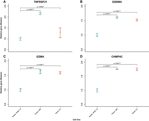 Figure 9 Beeswarm plot of relative hub gene expression in the normal cell line (hFOB1.19) and osteosarcoma cell lines (143B and U-2 OS). The RNA transcription levels of hub genes were evaluated by using the ΔΔCt method. (A) TNFRSF21, (B) GSDMA, (C) GZMA, and (D) CHMP4C were upregulated in two cancer cell lines compared to the normal cell line. GAPDH was used as internal control. Error bars indicate SD. *p < 0.05, ***p < 0.001.