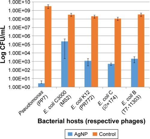 Figure 1 Effect of the 10 nm AgNP (25 μg/mL) on phage hosts (P. aeruginosa, E. coli C3000, E. coli K12, E. coli C, E. coli B) within 24 h. Bar graphs represent mean and SD from three independent experiments.Abbreviations: AgNP, silver nanoparticles; CFU, colony forming units.