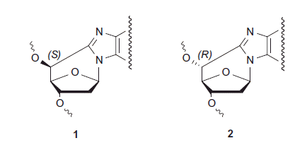 Scheme 2. Structure of the two diastereomeric forms of 5′-8-cyclopurine nucleosides.