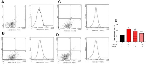 Figure 4 Effect of treatment of TAM, SIM, and their combinations on total apoptotic ratio using flow cytometry in MCF-7 cells. Flow cytometry scatterplots for (A) control, (B) TAM, (C) SIM, (D) combination, and (E) quantitative analysis of the total apoptosis rate. Results are expressed as means±SD of two independent experiments performed in duplicate. Statistical significance of results was analyzed using one-way ANOVA followed by Tukey’s multiple comparison test. (a) Significantly different from the control group, (b) significantly different from TAM, and (c) significantly different from SIM at P˂0.05.