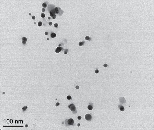 Figure 2 TEM image of AgNPs.Abbreviations: TEM, transmission electron microscopy; AgNPs, silver nanoparticles.