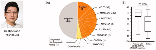 Figure 56. Aetiology of patients with residual acoustic hearing. (A) (n = 41): orange indicates genetic causes of HL; yellow indicates other causes; grey indicates unknown. (B): comparison of HP scores in each group [Citation19]. Reproduced by permission of Taylor and Francis Group.