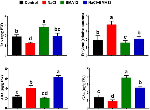 Figure 2. Effect of Bacillus megaterium strain A12 (BMA12) and salinity stress on phytohormones profile of tomato plants. Results provided here are mean values of two independent experiments. Vertical bard represents standard error. Small letters represent level of significance among different treatments as governed by ANOVA and DNMRT at = p ≥ 0.05.