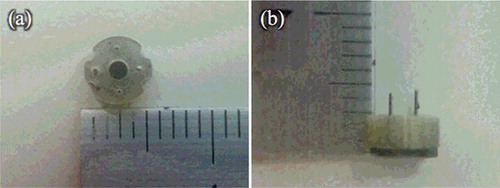 Figure 2. Optical images of the film-stack reaction field with a micro-pillars array: top view (a); side view (b). The outside diameter and the central-hole diameter were 5.0 and 2.0 mm, respectively. The height from a top film to a bottom magnetic sheet is approximately 3.0 mm. The space between the films is 10 μm, which depends on the height of a micro-pillar.
