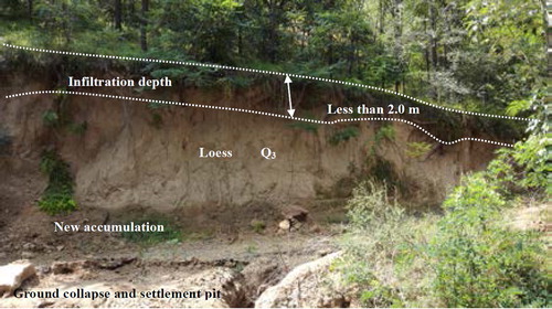 Figure 16. Infiltration depth of slope (August 2015).