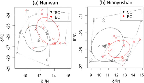Figure 4. Isotope niche breadths marked with corrected standard ellipse areas (SEAC) for the silver carp (SC with black circles) and bighead carp (BC with red circles).