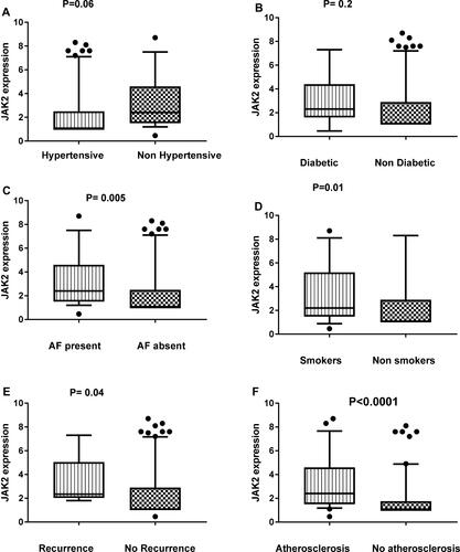 Figure 3 Association between the relative expression level of JAK2 and hypertension (A), diabetes (B), AF (C), smoking (D), recurrence (E) and atherosclerosis (F) among stroke patients.