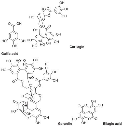 Figure 1 Two-dimensional chemical structure of polyphenolic compounds in Phyllanthus urinaria extract.
