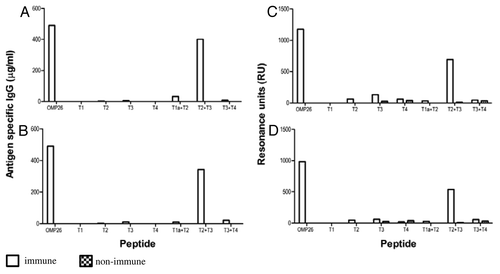 Figure 4. Antibody reactivities to the OMP26 peptides of sera from mice immunized with OMP26 protein using the IPP/IT (Panel A, C) and IP (Panel B, D) immunization regimens and assayed by ELISA (Panel A, B) and SPR (Panel C, D). Immune and non-immune sera collected from 3–5 mice were pooled and assayed in duplicate for antibody binding against the whole OMP26 protein and peptides. Antibody reactivities are expressed as IgG concentration in μg/ml in ELISA and Resonance Units (RU) in SPR. No specific antibodies to OMP26 peptides were detected in non-immune sera at the lowest sample dilution (1:25) by ELISA.
