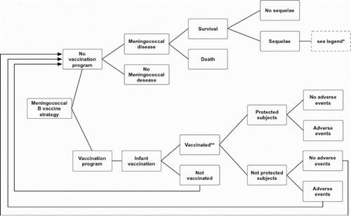 Figure 6. Simplified decisional tree: meningococcal serogroup B vaccination in infants.*Legend: amputation with substantial disability, anxiety, arthritis, depression, motor deficits, blindness, epilepsy or seizure, severe neurological disability, mental retardation (cognitive problems), hearing loss requiring cochlear implantation, moderate/severe bilateral hearing loss, moderate unilateral hearing loss, skin necrosis, scars, severe speech or communication problems, renal failure, chronic migraine.**Protection was assumed to begin after the second dose of the vaccine.