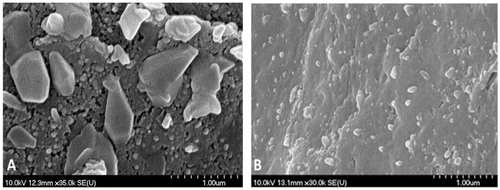 Figure 4. The SEM picture of sample P1 (A) and P7 (B).