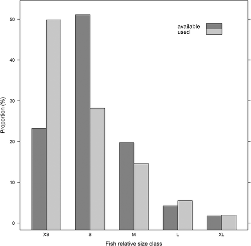 Figure 4. Proportion of fish collected from nets (index netting) and fish consumed by cormorants (cormorant diet) for each of the five identified size classes.