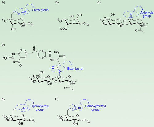Figure 2. Structures of natural polysaccharides derivatives. (A) Chitosan derivatives with ethylene glycol branched chains; (B) The structure of nature alginate, (C) Hyaluronic acid-aldehyde, it can cross-link with hyaluronic acid-adipic dihydrazide; (D) HA-FA ester formed by esterification of hyaluronic acid and folic acid Figure; (E) Hydroxyethyl cellulose, a soluble cellulose derivative; (F) Carboxymethyl cellulose, a soluble cellulose derivative.