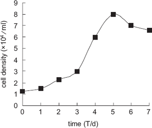 Figure 2. Growth curve of Landrace ear marginal fibroblasts.