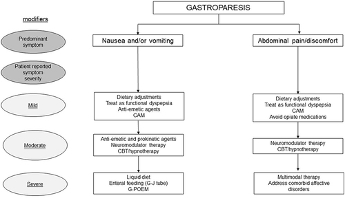 Figure 2 Proposed management for the treatment of gastroparesis based on predominant symptom and overall symptom severity.