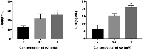 Figure 7. Effects of AA on IL-1β and IL-18 secretion. The release of IL-1β and IL-18 from Kupffer cells treated for 24 h with AA (0, 0.5, 1 mM). The values are presented as means ± of SD (n = 3). Significant differences with control group were designated as *P < 0.05.
