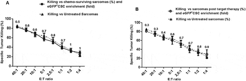 Figure 5. CIK activity against sCSC recovered after chemo and molecular targeted therapy. Patient-derived CIK efficiently killed eGFP+sCSC surviving to chemotherapy (doxorubicin) (5A, n = 7) or target therapy (pazopanib and sorafenib) (5B, n = 8). The ratio between viable sCSC post and pre CIK-immunotherapy are reported for each point of the killing curves. Means of tumor specific killing ± SEM are reported