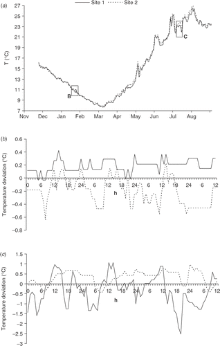 Fig. 2. Caulerpa racemosa: (a) daily seawater temperature at 4 m depth in two settlements from 25 November 2004 to 30 August 2005, (b) winter and (c) summer temperature oscillation pattern.