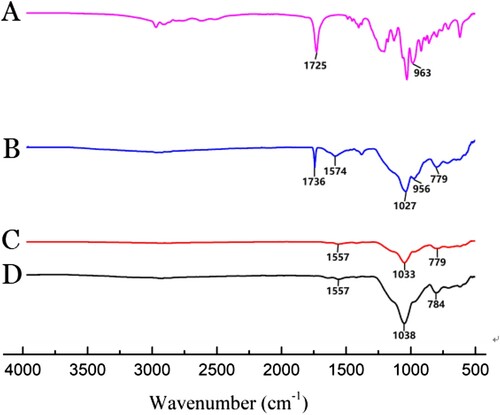 Figure 2. FT-IR spectra of (A) DPA, (B) Fe3O4@SiO2@MIP before extraction, (C) Fe3O4@SiO2@MIP after extraction, and (D) Fe3O4@SiO2@NIP.