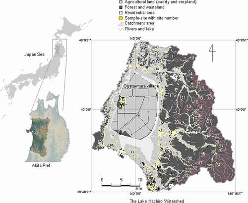 Figure 1. Location of the Lake Hachiro watershed (LHW), Akita, Japan, and the land-use distribution and location of studied headwater catchments and sampling sites within the watershed