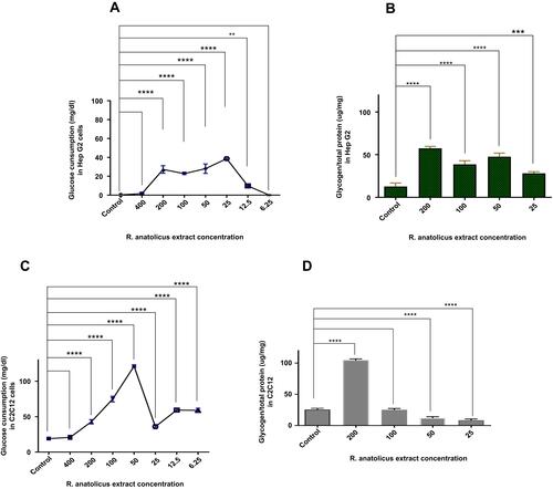 Figure 2 Effect of R. anatolicus extract on extracellular glucose consumption and cellular Glycogen content. (A) and (B) show the Effects of R. anatolicus extract on glucose consumption and glycogen content in HepG2 cells, respectively. And Figure 2C and 2D show the effects of R. anatolicus extract on glucose consumption and glycogen content in C2C12 cells, respectively. GCs were measured after 24-h incubation with 400–6.25 µg/mL R. anatolicus extract or control and glycogen content were measured after 24-h incubation with 200–25 µg/mL R. anatolicus extract or control Data are means ± SEM. **p<0.01, ‎*‎*‎*p<0.001 and ‎‎*‎*‎*‎*p<0.0001.