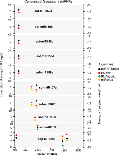 Figure 6. Intersection plot representing consensus sugarcane miRNAs predicted by at least two algorithms at common loci. Color codes are given within the figure. Minimum free energy (miRanda, RNA22 and RNAhybrid) and expectation cut-off score (psRNATarget) are indicated.