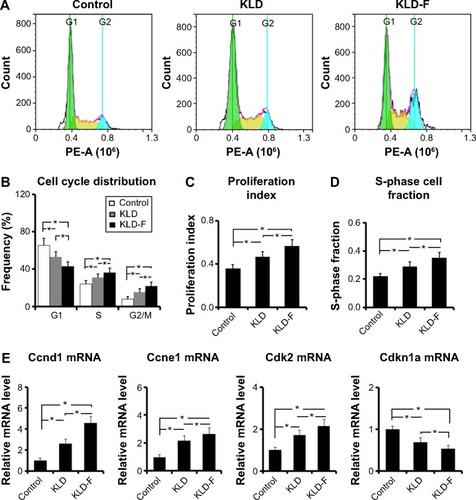 Figure 5 Functionalized self-assembling peptide induced cell cycle progression in INS-1 β-cells.Notes: (A) Flow cytometry analysis of cell cycle. (B) G1, S, and G2/M phase distribution after 3 days of culture. (C) Proliferation index and (D) S-phase cell fraction detected by flow cytometry (*P<0.05). (E) Real-time polymerase chain reaction analysis of Ccnd1, Ccne1, Cdk2, and Cdkn1a mRNA levels after 3 days of culture (*P<0.05).