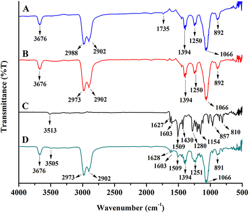 Figure 6 FTIR spectrum of Tween 20 (A), PEG 400 (B), Cur (C), and CM-L (D).