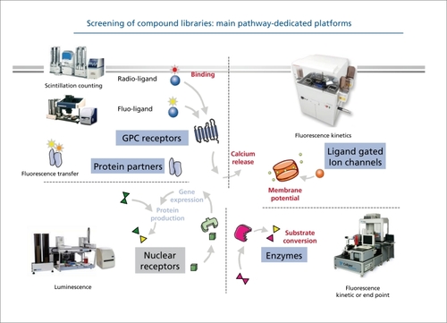 Figure 4. Screening of compound libraries: main pathway-dedicated platforms. GPC, G protein-coupled (Figure courtesy of Olivier Nosjean and Jean Boutin, Servier research).