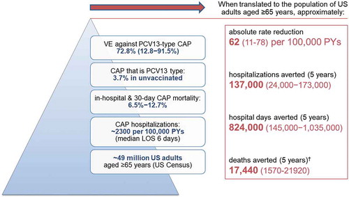 Figure 2. Potential impact* of PCV13 use in US adults aged ≥ 65 yearsCitation51.CAP = community-acquired pneumonia; US = United States; VE = vaccine effectiveness. *assumes 5% all-cause mortality each year and 100% vaccine uptake. †A significant effect on all-cause mortality was not demonstrated in Community Acquired Pneumonia Immunization Trial in Adults (CAPiTA).Citation19