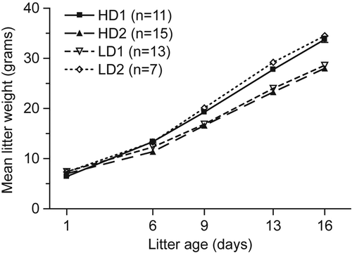 Figure 2. Litter size and weight on normal and heavy isotope diet. Mean litter weights were reported as a function of the number of days postweaned pups were fed labeled or unlabeled rat chow (error bars are included but the standard deviations are minimal and thus not visible). HD = heavy dame (placed on the labeled diet 2 days into confirmed pregnancy); LD = light dame (fed similar, but unaltered, diet); n = the number of male pups included in each birth group. The data point for day 1 represents n = 1 per cohort.