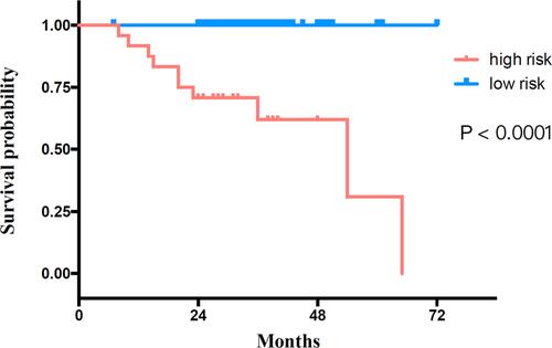 Figure 8 Kaplan-Meier survival curves of recurrence-free survival for the validation set.