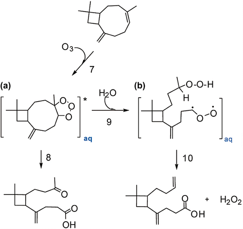 Figure 13 Proposed mechanism of oxidation of β-caryophyllene by ozone at the air–water interface. Reproduced with permission from Ref. [189].