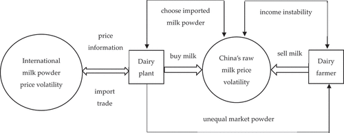 Figure 1. The volatility spillover effect mechanism between international milk powder and China’s raw milk markets.