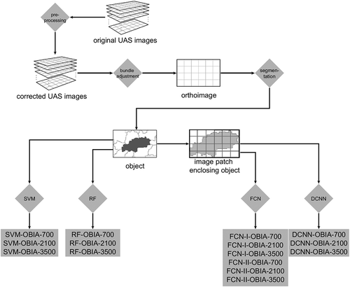 Figure 4. Flow chart of conducted experiments.